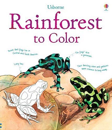 Rainforest to Color (Paperback)