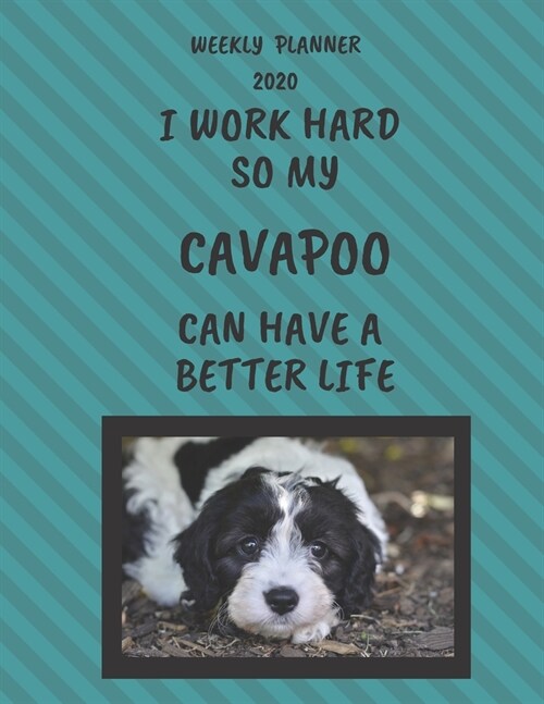 Cavapoo Weekly Planner 2020: Cavapoo Lover Gifts Idea For Men & Women - Funny Weekly Planner For Cavapoo Lovers With To Do List & Notes Sections (Paperback)