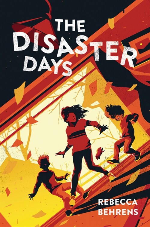 The Disaster Days (Paperback)