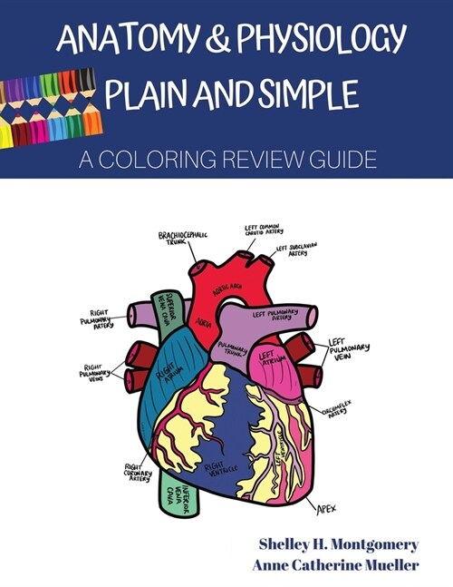 Anatomy & Physiology Plain and Simple: A Coloring Review Guide (Paperback)