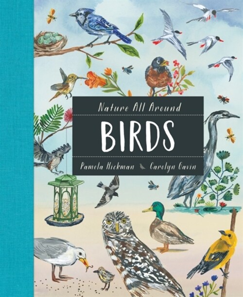 Nature All Around: Birds (Hardcover)