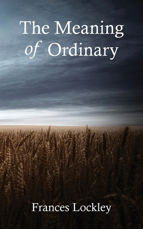 The Meaning of Ordinary (Paperback)