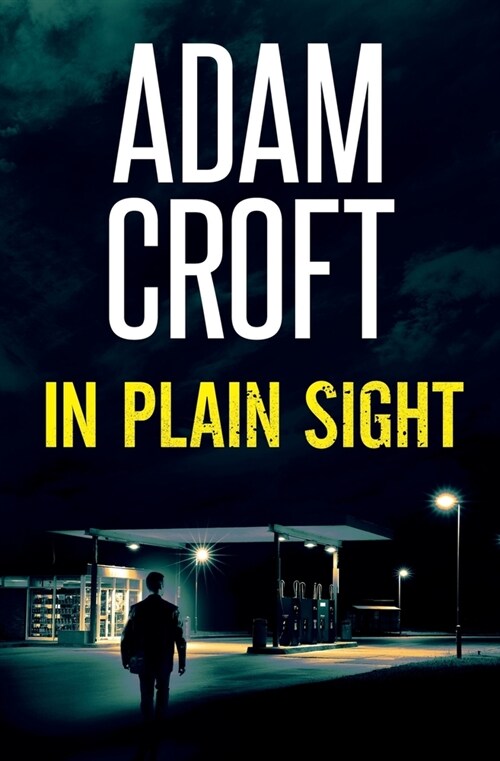 In Plain Sight (Paperback)