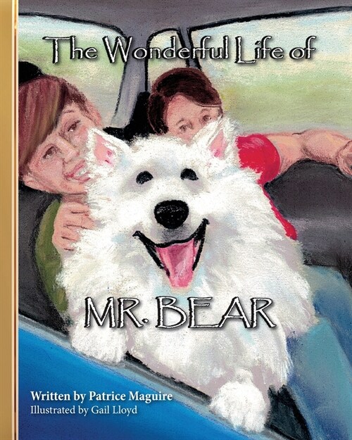 The Wonderful Life of Mr. Bear (Paperback)