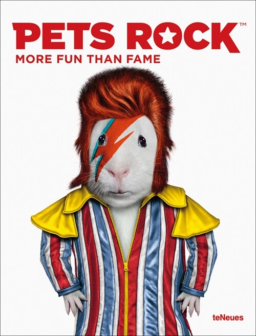 Pets Rock: More Fun Than Fame (Hardcover)