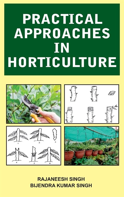 Practical Approaches in Horticulture (Hardcover)