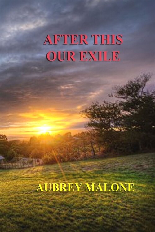 After This Our Exile (Paperback)