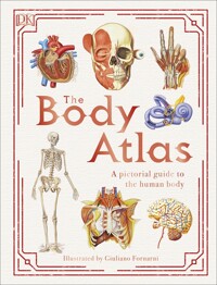 (The) body atlas : A pictorial guide to the human body 