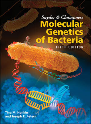Snyder and Champness Molecular Genetics of Bacteria (Hardcover, 5)