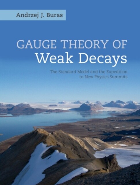 Gauge Theory of Weak Decays : The Standard Model and the Expedition to New Physics Summits (Hardcover)