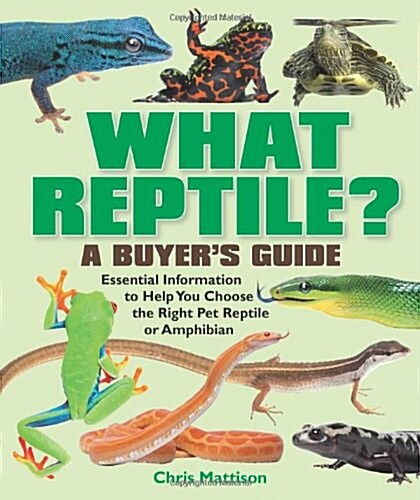 What Reptile? A Buyers Guide : Essential Information to Help You Choose the Right Reptile or Amphibian (Paperback)