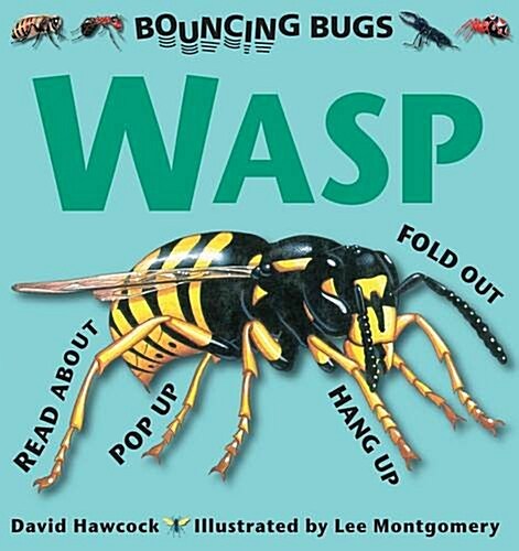 Bouncing Bugs - Wasp (Hardcover)