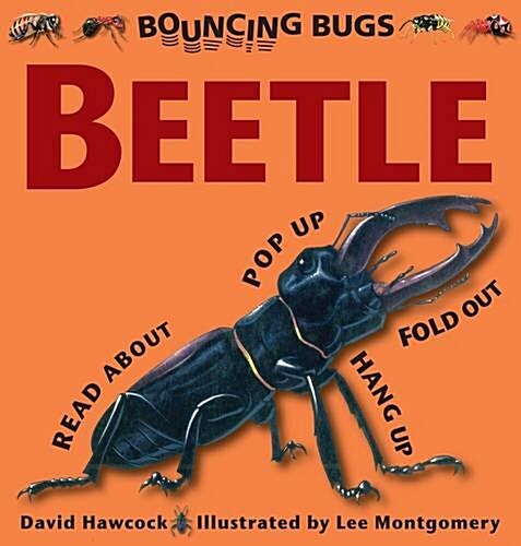 Bouncing Bugs - Beetle (Hardcover)