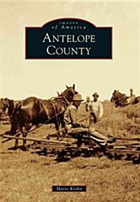 Antelope County (Paperback)