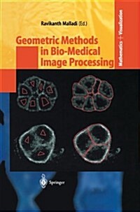 Geometric Methods in Bio-Medical Image Processing (Paperback, Softcover Repri)