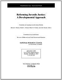 Reforming Juvenile Justice: A Developmental Approach (Paperback)