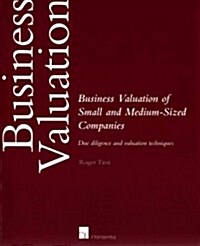 Business Valuation of Small and Medium-Sized Companies : Due Diligence and Valuation Techniques (Paperback)