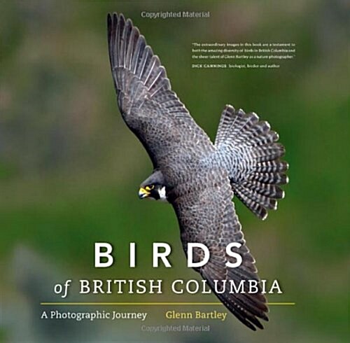 Birds of British Columbia: A Photographic Journey (Hardcover)