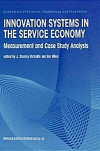 Innovation Systems in the Service Economy: Measurement and Case Study Analysis (Paperback, Softcover Repri)