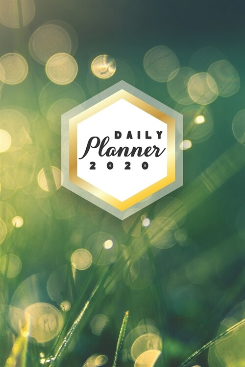 Daily Planner 2020: Green Nature 52 Weeks 365 Day Daily Planner for Year 2020 6x9 Everyday Organizer Monday to Sunday Life Plan Academic S (Paperback)