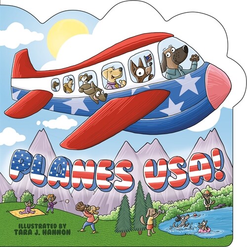 Planes Usa! (Board Books)