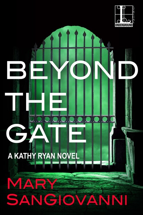 Beyond the Gate (Paperback)