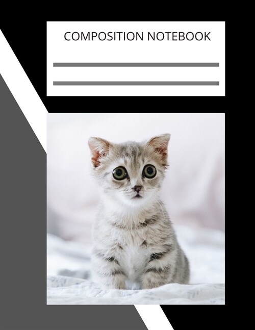 Composition Notebook, Notebooks are important: 110 Ruled Pages (8.5 x 11 in): College Ruled Blank Lined Cute Notebooks for Girls Teens Kids School Wri (Paperback)