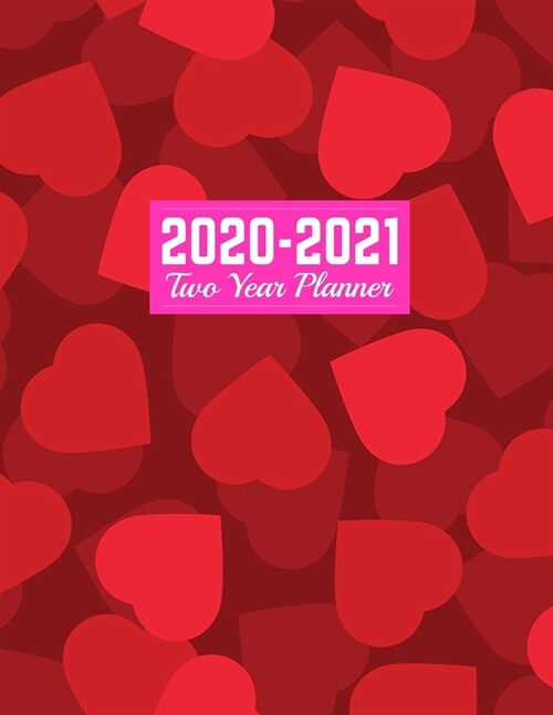 2020-2021 Two Year Planner: Cute Calendar Year Vision Planner (January 2020 - December 2021) - Monthly and Weekly Schedule Organizer and Journal - (Paperback)