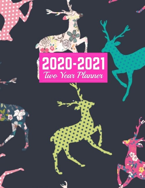 2020-2021 Two Year Planner: Neat Jan 1, 2020 to Dec 31, 2021 - Weekly & Monthly Planner Calendar and Schedule Organizer - Art Cover 00023187 (Paperback)