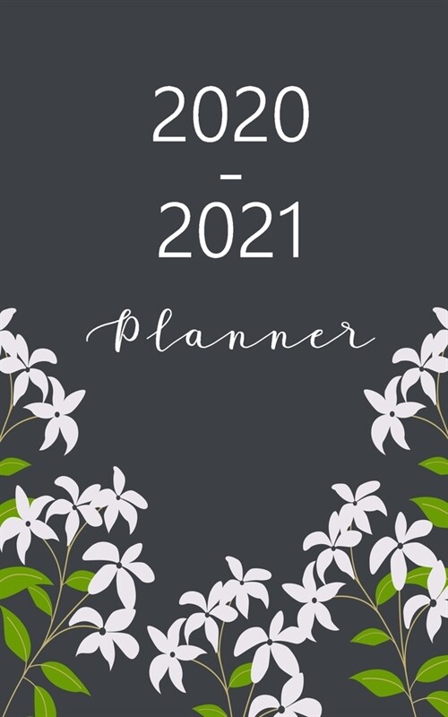 2020-2021 Planner: Pocket Two Year Monthly, Password Log, Phone Book, Birthday Log, Dot Notes (January 2020 through December 2021) Federa (Paperback)