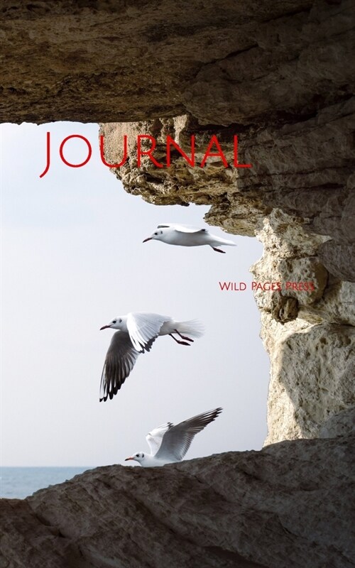 Journal: cave rock sea seagulls birds sunset (Paperback)