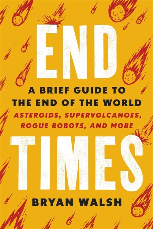 End Times: A Brief Guide to the End of the World (Paperback)