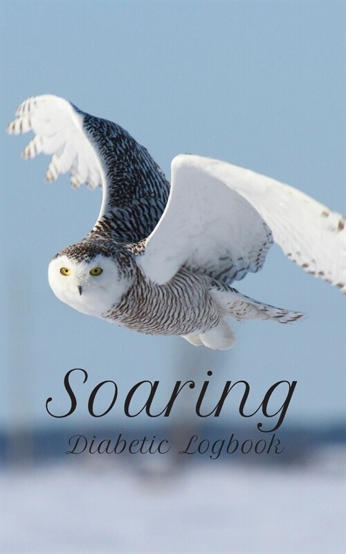 Soaring Diabetic Logbook (Paperback)