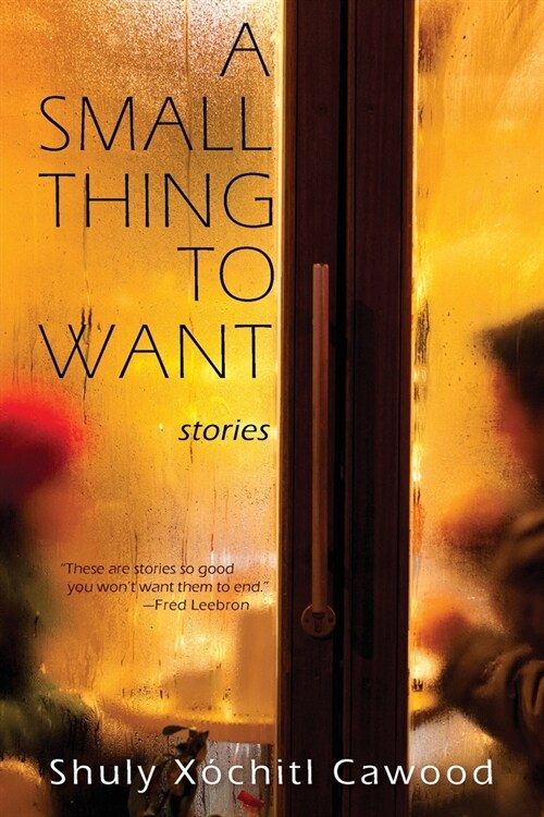 A Small Thing to Want (Paperback)