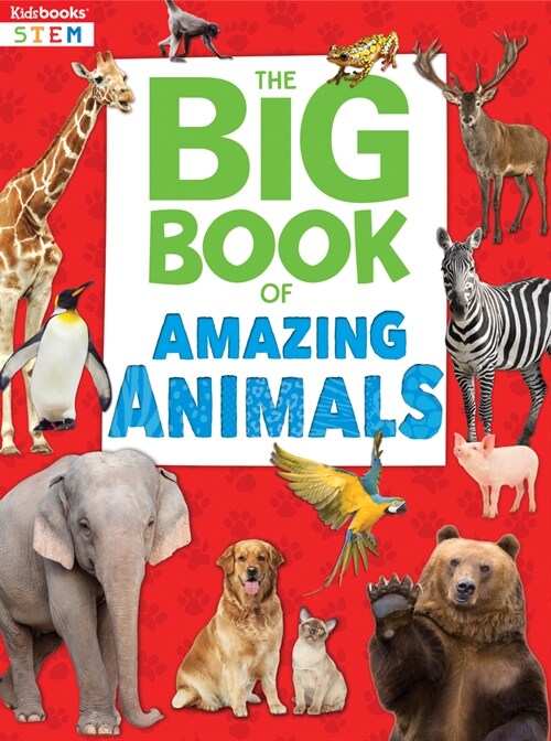 Big Book of Amazing Animals (Paperback)