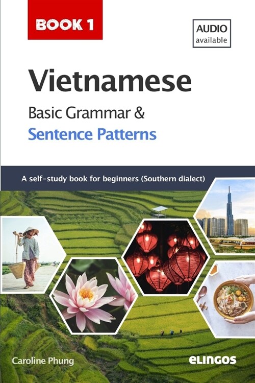 Vietnamese Basic Grammar and Sentence Patterns (Paperback)