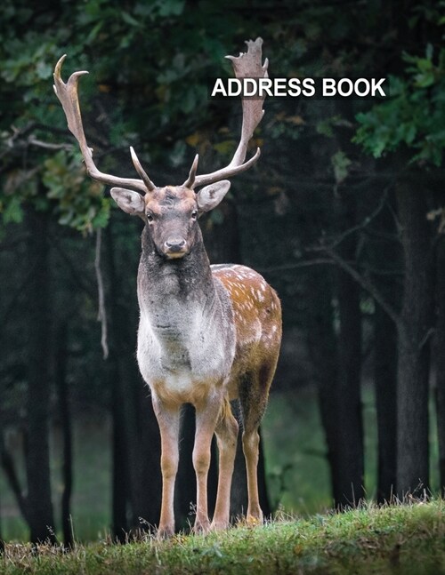 Low Vision Large Print Address Book: Contacts and Password Record Book With Bold Lines on White Paper For Visually Impaired (Paperback)