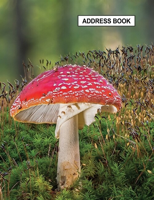 Low Vision Large Print Address and Password Record Book: Organizer for Visually Impaired 8.5 x 11 with Bold Lines 3/4 Apart Toadstool Nature Cover (Paperback)