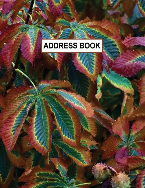 Low Vision Large Print Address and Password Record Book: Organizer for Visually Impaired 8.5 x 11 with Bold Lines 3/4 Apart Fall Colors Cover (Paperback)