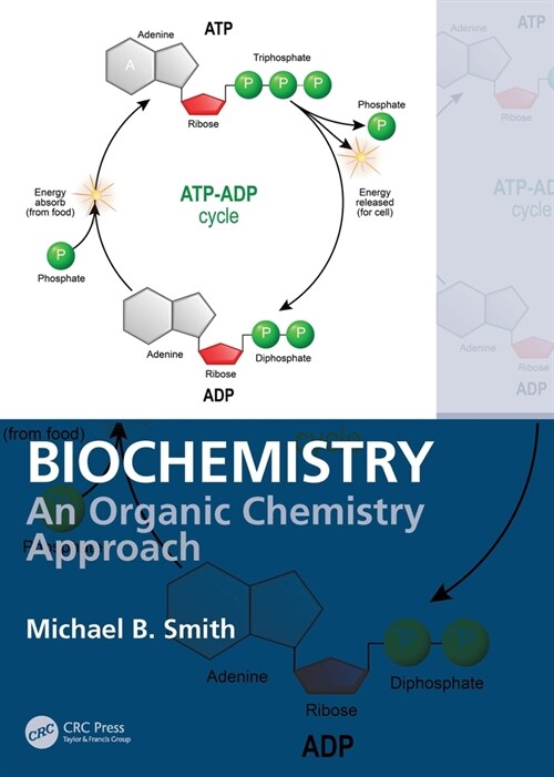 Biochemistry: An Organic Chemistry Approach (Paperback)
