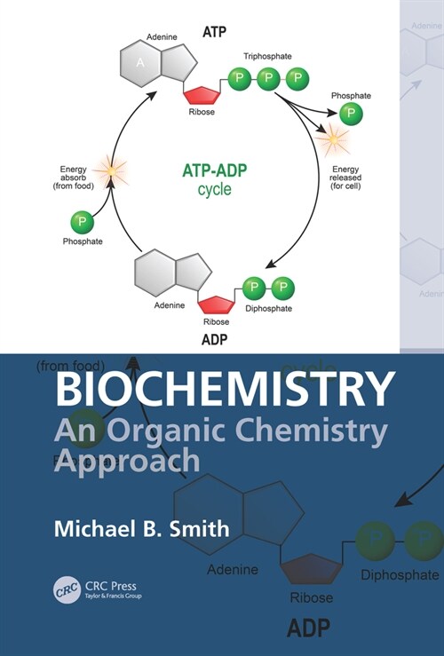 Biochemistry: An Organic Chemistry Approach (Hardcover)