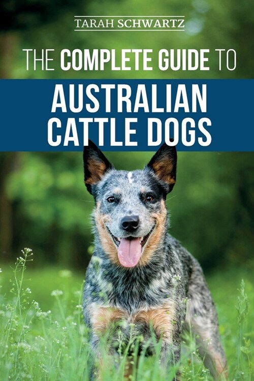 The Complete Guide to Australian Cattle Dogs: Finding, Training, Feeding, Exercising and Keeping Your ACD Active, Stimulated, and Happy (Paperback)