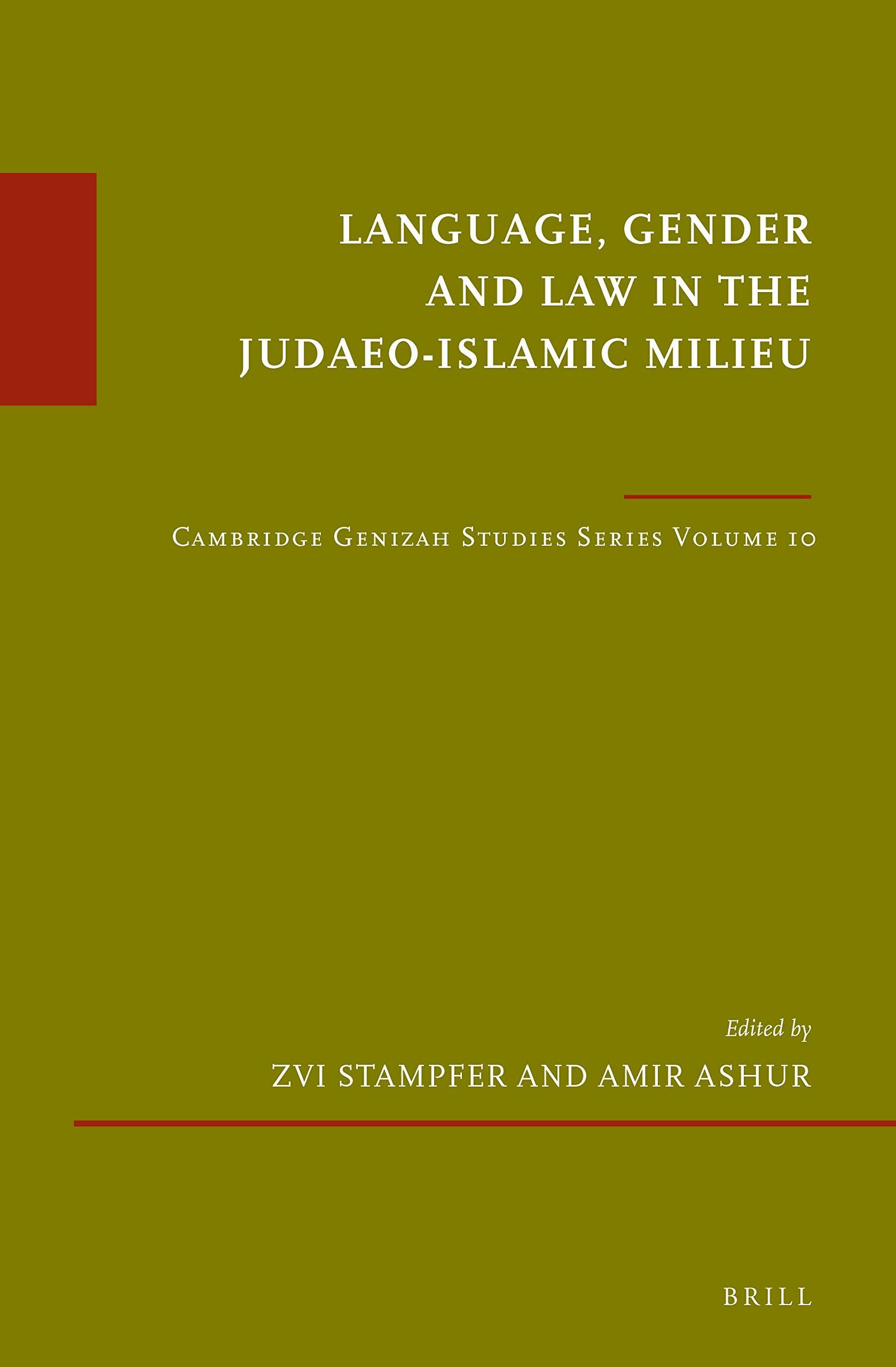 Language, Gender and Law in the Judaeo-Islamic Milieu: Cambridge Genizah Studies Series, Volume 10 (Hardcover)