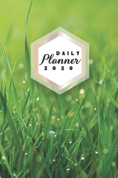 Daily Planner 2020: Green Nature 52 Weeks 365 Day Daily Planner for Year 2020 6x9 Everyday Organizer Monday to Sunday Life Plan Academic S (Paperback)