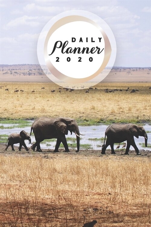 Daily Planner 2020: Elephant Lover 52 Weeks 365 Day Daily Planner for Year 2020 6x9 Everyday Organizer Monday to Sunday Africa Big Animal (Paperback)