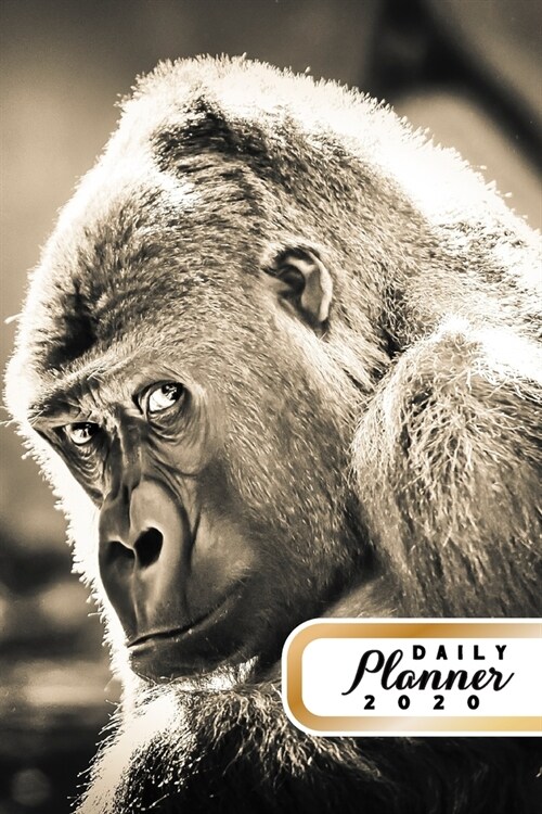 Daily Planner 2020: Monkey Lover 52 Weeks 365 Day Daily Planner for Year 2020 6x9 Everyday Organizer Monday to Sunday Nature Enthusiast An (Paperback)