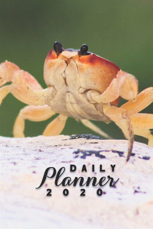 Daily Planner 2020: Cute Crab Sea Life 52 Weeks 365 Day Daily Planner for Year 2020 6x9 Everyday Organizer Monday to Sunday Life Plan Acad (Paperback)