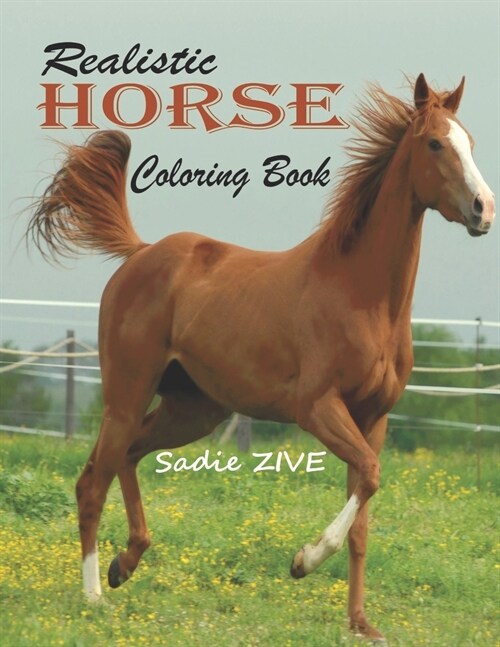 Realistic Horse Coloring Book: Wonderful World of Horses Coloring Book: An Adult Coloring Book for Horse Lovers; Big Book of Horses to Color; Horse C (Paperback)