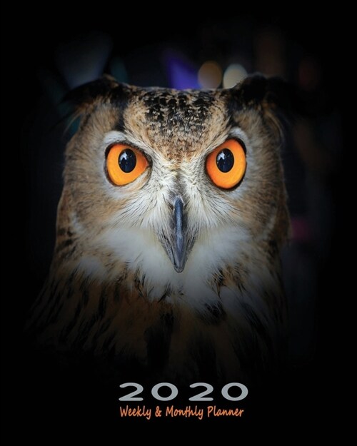 2020 Weekly & Monthly Planner: Owl Weekly Organizer for 2020 with Notes Pages and Year Calendar - Owl Abstract (Paperback)