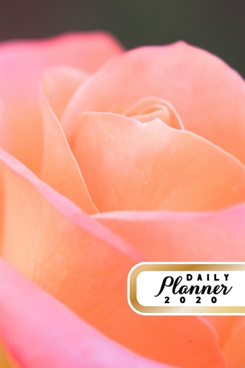 Daily Planner 2020: Rose Flowers Gardening 52 Weeks 365 Day Daily Planner for Year 2020 6x9 Everyday Organizer Monday to Sunday Flower Gro (Paperback)